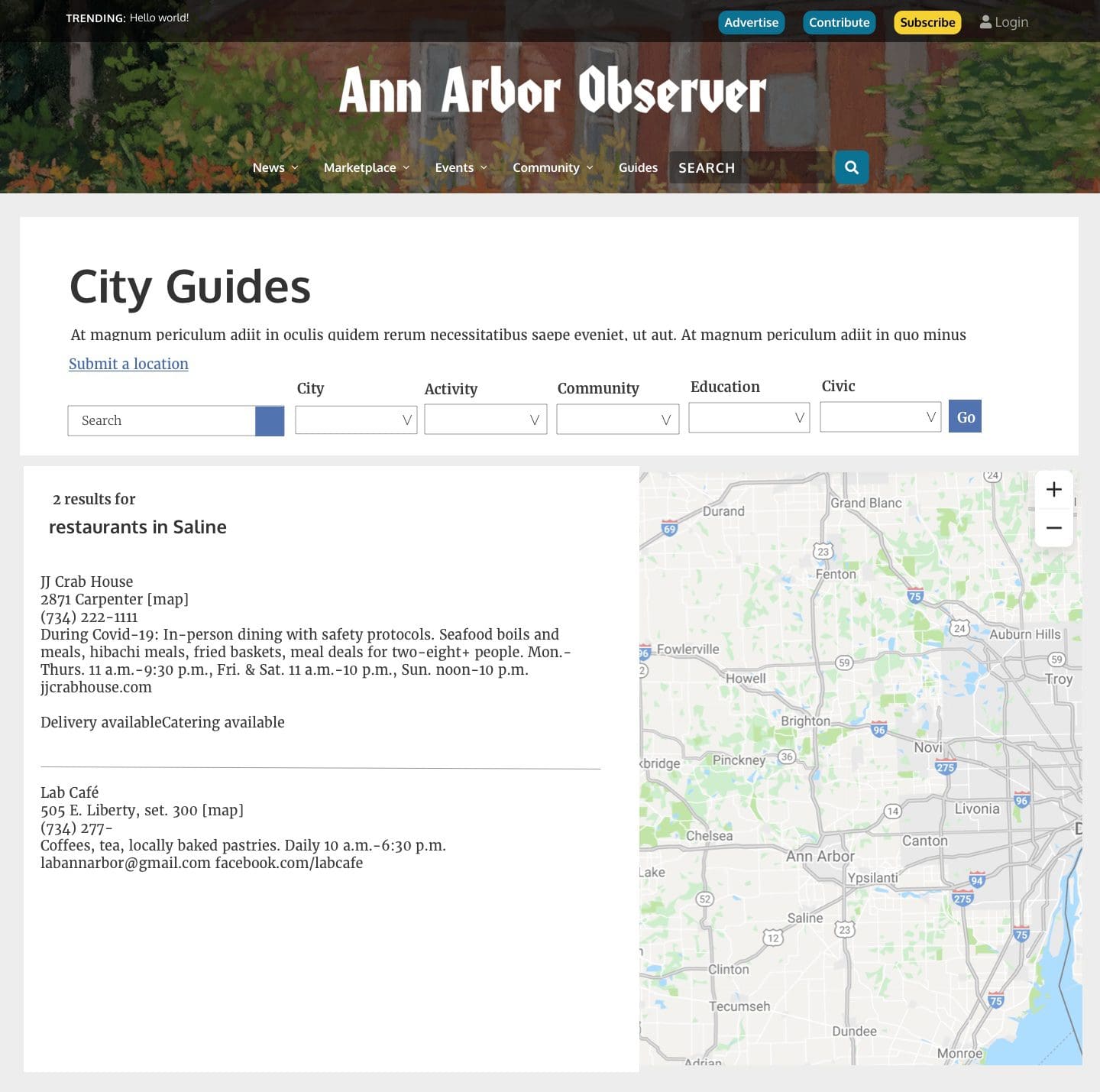 ann arbor observer city guides